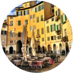 lucca_250x250